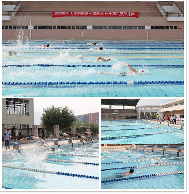 我院2014年职工游泳比赛圆满落幕 我院2014年职工游泳比赛圆满落幕