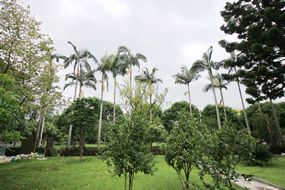 我院获准开展辅助生殖技术 我院获准开展辅助生殖技术