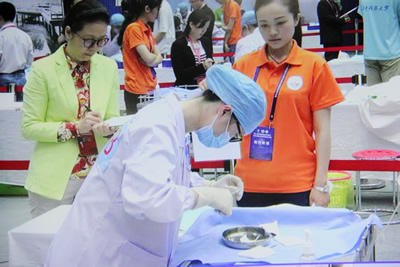 第七届全国高等医学院校大学生临床技能竞赛总决赛第一临床医学院代表福建医科大学参赛以全国第一名佳绩荣获特等奖