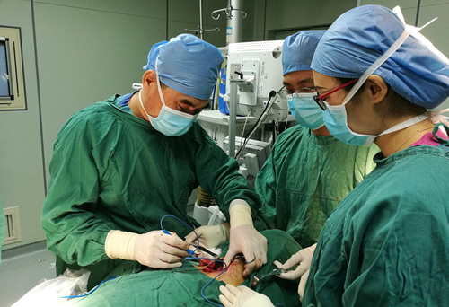 术中神经监测——甲状腺手术的护航者