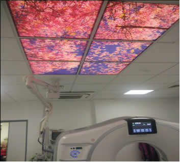 赴英国研修学习报告