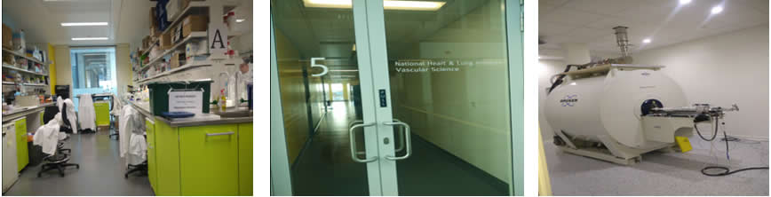 赴英国研修学习报告