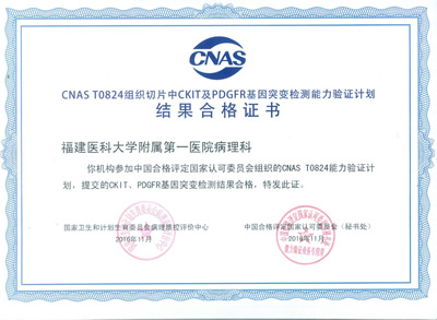 我院病理科八个基因检测项目顺利通过2016年PQCC/CNAS、EMQN分子病理检测能力认证 我院病理科八个基因检测项目顺利通过2016年PQCC/CNAS、EMQN分子病理检测能力认证