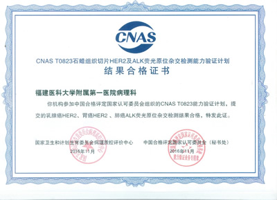 我院病理科八个基因检测项目顺利通过2016年PQCC/CNAS、EMQN分子病理检测能力认证 我院病理科八个基因检测项目顺利通过2016年PQCC/CNAS、EMQN分子病理检测能力认证