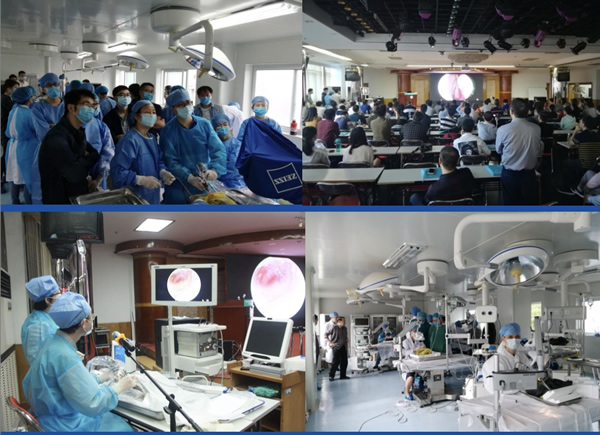 我院耳鼻咽喉科入选中国医师协会（鼻科+咽喉科）内镜培训基地