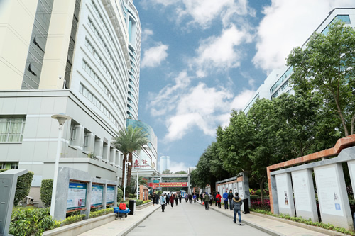 载史长廊映初心 无声文化践使命 我院美丽院区精品文化工程——医院文化长廊精彩绽放 载史长廊映初心 无声文化践使命 我院美丽院区精品文化工程——医院文化长廊精彩绽放