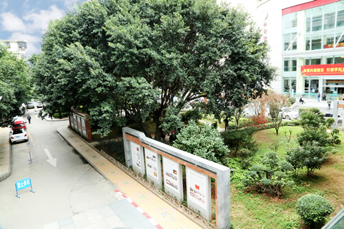 载史长廊映初心 无声文化践使命 我院美丽院区精品文化工程——医院文化长廊精彩绽放 载史长廊映初心 无声文化践使命 我院美丽院区精品文化工程——医院文化长廊精彩绽放