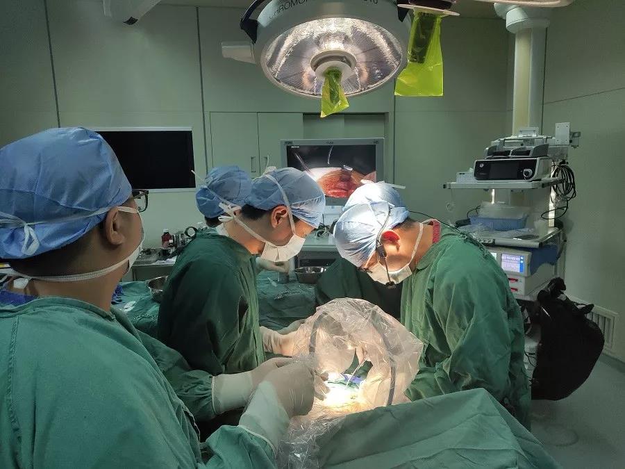 我院肝胆胰疝外科主办、联合承办国家级疝外科视频年会暨亚太疝协会培训班、福建省疝外科学习班 我院肝胆胰疝外科主办、联合承办国家级疝外科视频年会暨亚太疝协会培训班、福建省疝外科学习班