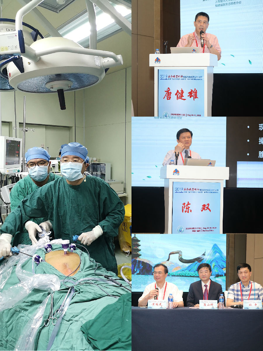 肝胆胰疝外科举办第三届“华-福”疝外科榕城高峰论坛暨国家级疝外科新进展学习班