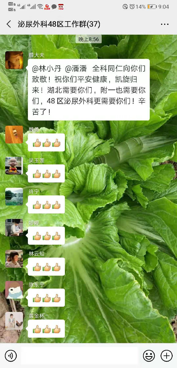 让党旗在防控疫情斗争的第一线高高飘扬