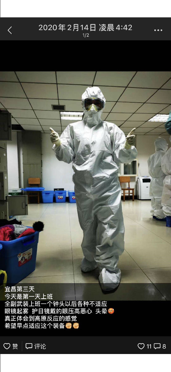 风雨中的玫瑰 风雨中的玫瑰