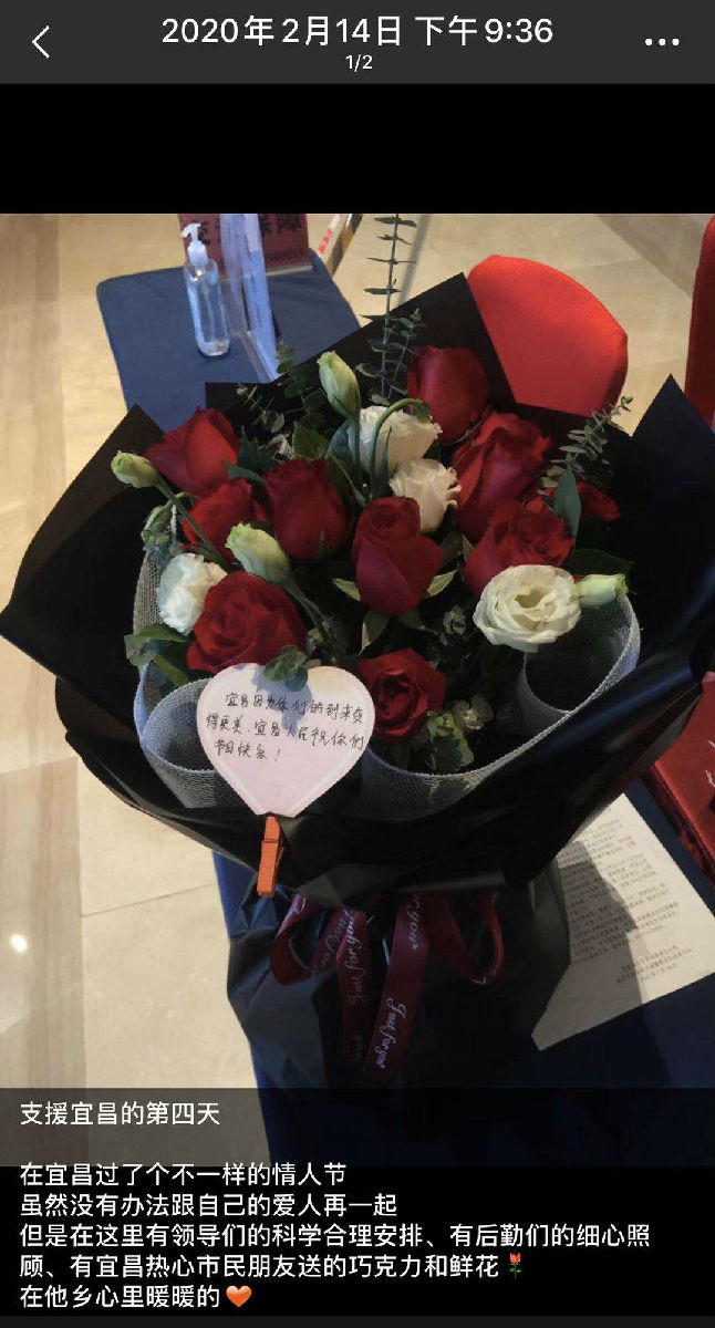 风雨中的玫瑰 风雨中的玫瑰