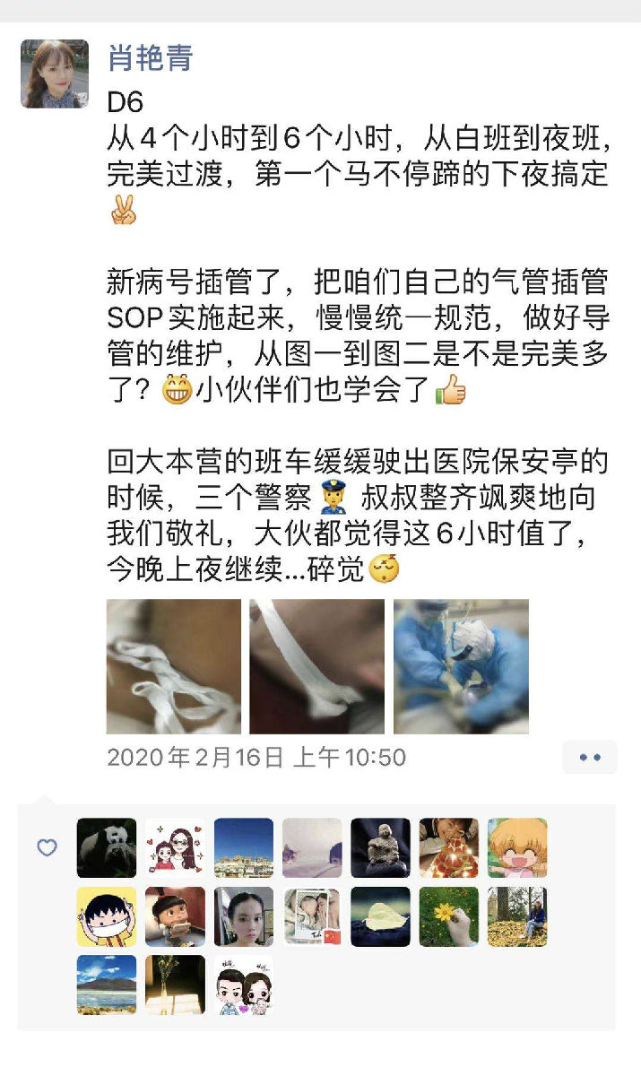 风雨中的玫瑰 风雨中的玫瑰