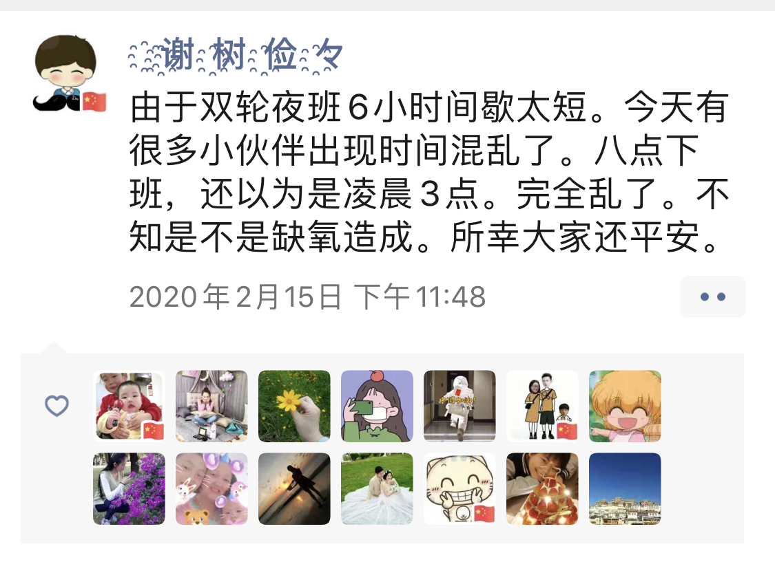 风雨中的玫瑰 风雨中的玫瑰