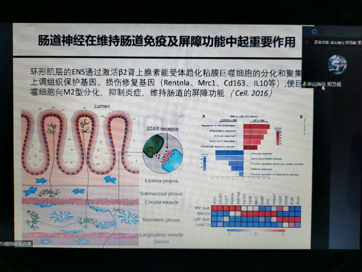 聚焦小肠疾病 尽享学术盛宴——2021华福消化论坛召开 聚焦小肠疾病 尽享学术盛宴——2021华福消化论坛召开