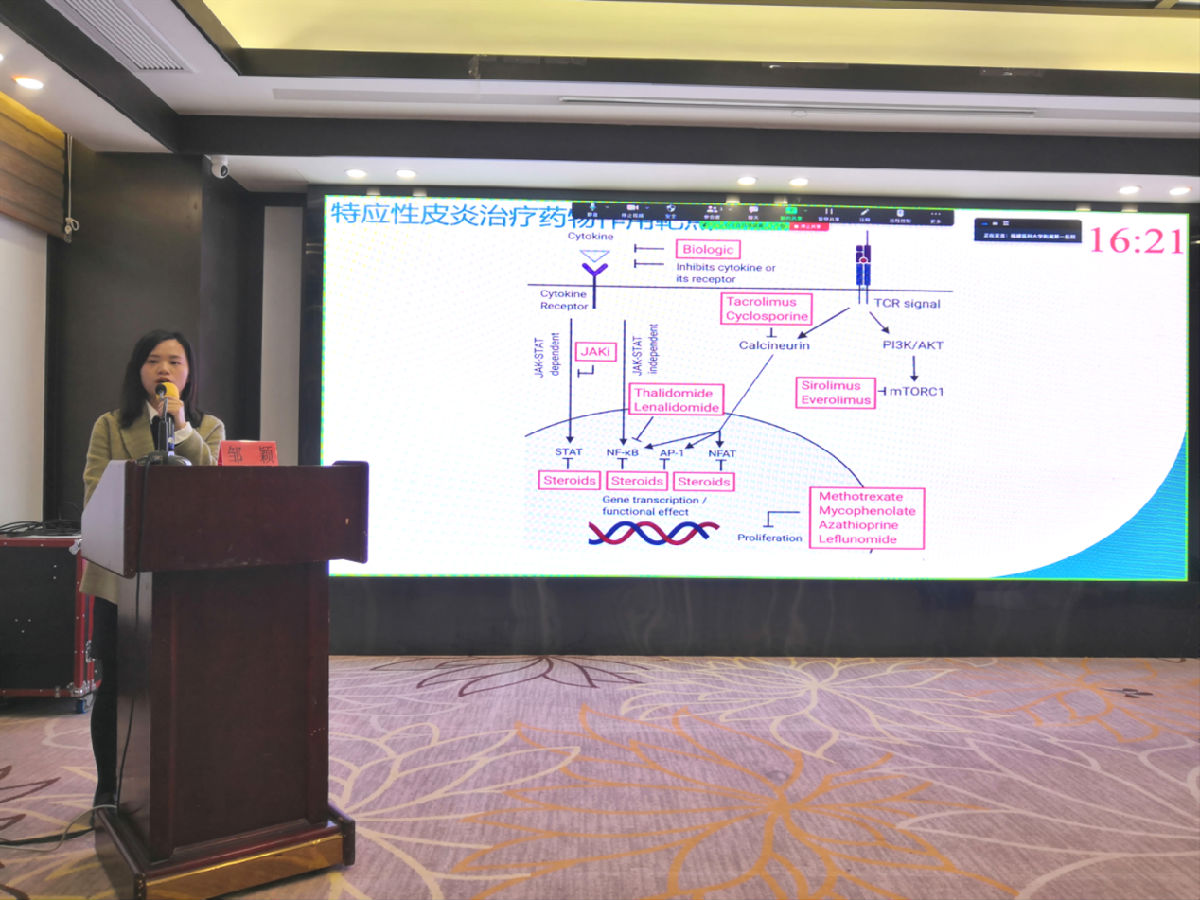 福建省第二十次皮肤科学术会议暨海峡两岸皮肤科交流会举办