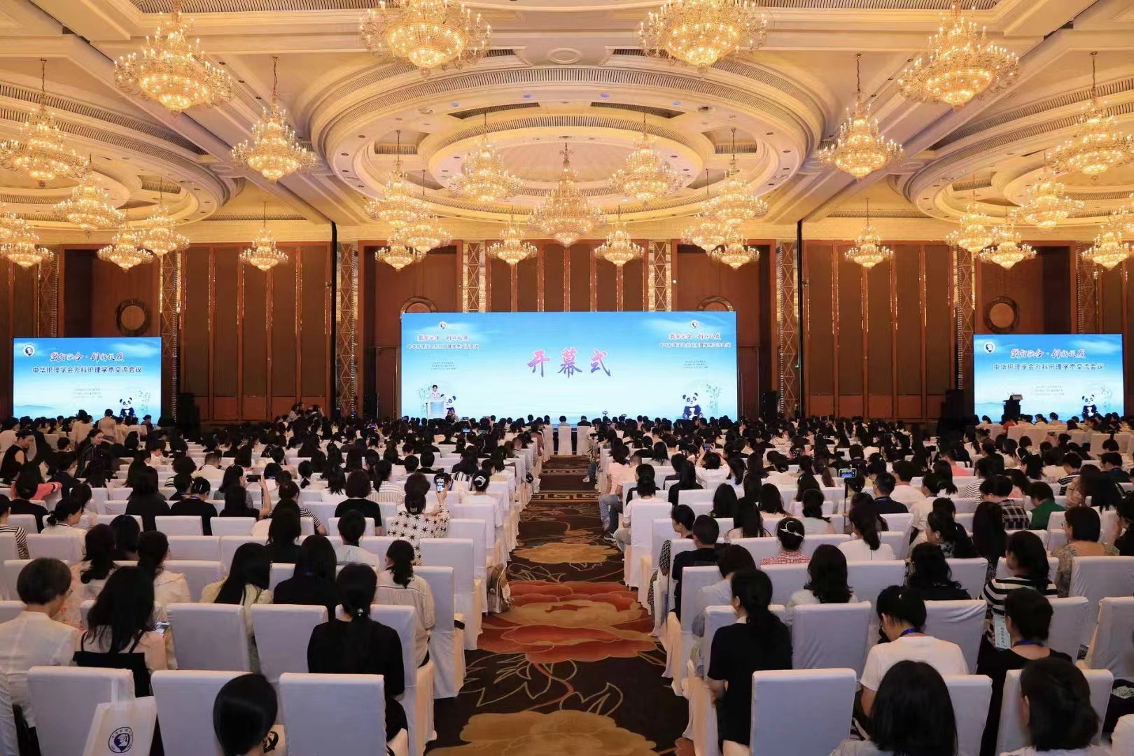 图片 图片